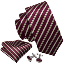 Load image into Gallery viewer, Deep Red Class Striped Tie Set