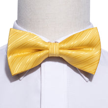 Load image into Gallery viewer, Bumblebee Striped Bow Tie Set