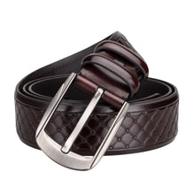 Load image into Gallery viewer, Dark Brown Web Pin Buckle Belt